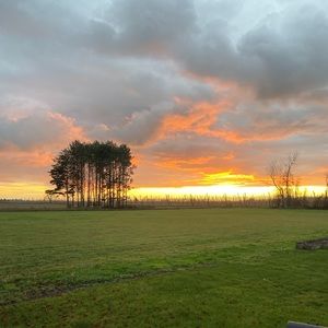 Meet your Posher, Neila